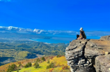 奉系江山(江山一片红，奉系江山的影响)