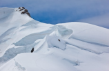 六月雪图片(六月雪图片欣赏)